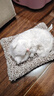 亦趣仿真猫玩偶会叫小猫咪毛绒玩具摆件可爱猫咪公仔儿童生日新年礼物 会叫萨摩耶+垫 实拍图