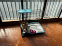 宠乐乖（CHONGLEGUAI）狗笼猫笼狗笼子中小型犬带厕所幼犬折叠便携猫笼子猫咪兔笼850ZG 实拍图