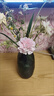 智宙【热卖】菩提落地富贵竹客厅摆件醒花龙柳南天竹玻璃花瓶水培花盆 【热卖】菩提【透明】 实拍图