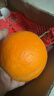 城南堡花四川大凉山爱媛38号果冻橙 新鲜橙子水果柑橘现摘 精品大果净果4.5斤（70-75mm） 实拍图
