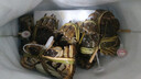 【活蟹】蟹宗鲜活大闸蟹螃蟹现货全母4.0-4.3两8只去绳足重生鲜海鲜礼盒节日送礼礼品 实拍图