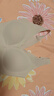 ubras【2件装】无尺码免拆V领内衣女背心美背粉底液色文胸罩无痕隐形 裸感肤+燕麦奶 白T搭子 实拍图