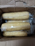 京鲜生东北白糯玉米330g*8根 甜黏玉米低脂早餐代餐粗粮真空装 源头直发 实拍图