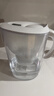 碧然德（BRITA） 家用滤水壶 净水壶滤芯 Maxtra 多效滤芯 6枚装 实拍图
