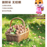 三只松鼠野生山核桃仁500g/盒 每日坚果礼盒炒货零食品 团购送礼 实拍图