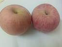 京鲜生 栖霞红富士苹果 净重6.4斤 单果230g+ 水果礼盒 实拍图