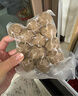 海霸王撒尿牛肉风味丸 500g/包 烧烤火锅食材 火锅丸子 关东煮食材 实拍图