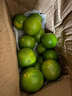 京鲜生 广西皇帝柑 贡柑 净重4.5斤 单果55mm+ 新鲜水果 源头直发包邮 实拍图