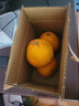 京喜加云南湖北青皮蜜桔橘子高山青皮酸桔子应季时令水果孕妇生鲜 蜜桔带箱1斤50-60mm 实拍图