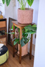 小匠材实木中式花台阳台架子中古风置物架落地式装饰摆件客厅多层花架子 实拍图
