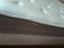 龙凤床垫家用卧室乳胶分区独立弹簧席梦思1.8x2米记忆棉环保椰棕护脊床垫 净享B型23cm：正面硬 1800*2000 实拍图