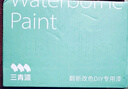 三青水性防锈漆免除锈金属漆铁栏杆门窗暖气片翻新改色环保油漆涂料白 实拍图