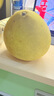 京鲜生 福建文旦柚 柚子 2粒装 净重2.4斤起 生鲜水果礼盒 实拍图