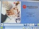 摩托罗拉（Motorola）连接电脑录音电话机 海量存储批量拨打名片弹屏 固定座机办公家用 电销话务客服中心固话CT900C 实拍图