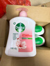 滴露（Dettol）洗手液抑菌滋润450g*2+松木450g*2儿童家庭补充装消毒温和护手 实拍图