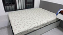 海马飞雪床垫席梦思天然椰棕乳胶独立弹簧床垫酒店厚薄双人家用榻榻米垫子 12cm厚舒适款(乳胶+独立弹簧) 1.5x2米 实拍图