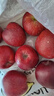 京鲜生 甘肃天水花牛苹果 又大又红 净重4斤 单果160g起  新鲜水果  实拍图