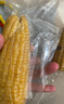 当季新货头茬东北黄甜糯玉米棒真空包装低脂黄糯大棒甜东北黏苞米 黄糯玉米【120-160克】6根 实拍图