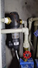 沁园（TRULIVA）前置过滤器 家用8T大通量40微米手动正反冲洗过滤器 压力表监控全屋前置净水器P-A5510 国家补贴 实拍图