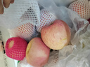 京鲜生 烟台红富士苹果 净重10斤 单果190g以上 生鲜水果 礼盒装 实拍图