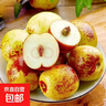 冰糖冬枣新鲜水果大枣特大脆甜冬枣青枣应孕妇水果【多仓发货】 【3斤】中果12-16g 实拍图