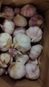 紫白皮蒜水果大蒜超市即食生鲜蔬菜大蒜 【精选】净重 2.8斤 单果3.5-5cm 实拍图