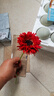 把束拉丝菊 简约现代陶瓷花瓶摆件 插花干花花束会议桌装饰高端 红色/1枝 实拍图