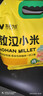 吾谷为伴敖汉小米5斤 新米赤峰小米粥黄小米 金苗k1蒸饭更软糯 实拍图