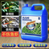 疯狂水草鱼缸除藻剂去苔剂青苔清除剂鱼池除藻去苔剂鱼塘改底改善水质4.8L 实拍图