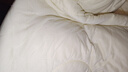 神气小鹿泡芙被Pro春秋被子冬被芯A类单双人宿舍被子深睡被褥四季被芯加厚 泡芙被-春秋被丨远红外发热+可机洗 奶油咖(室温＞12℃) 200*230cm-7A级抗菌【双人适用】 实拍图