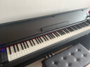 海蒂诗 电钢琴88键重锤电子钢琴儿童初学幼师专业成人家用数码立式钢琴 P-310木纹黑-蓝牙-全重锤-配琴凳 实拍图
