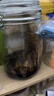 拜杰玻璃密封罐 3个装1000ml储物罐家用玻璃瓶泡酒瓶泡菜瓶腌腊八蒜罐 实拍图