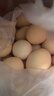 京鲜生柴鸡蛋30枚 3斤 无抗生素 谷物喂养鲜鸡蛋 源头直发 实拍图