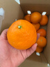 【整箱】爱媛果冻橙约2.5kg 实拍图