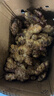 农多鲜 云南小黄姜 新鲜蔬菜现挖现发调味料火锅食材 产地直供 净重小黄姜5斤 云南小黄姜 实拍图