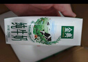 伊利【新鲜日期】金典纯牛奶整箱 250ml*16盒 3.6g乳蛋白 礼盒装 实拍图