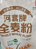 河套牌 全麦粉 全麦小麦粉 含麦麸 烘焙 面包馒头包子 家用面粉 全麦粉10kg*1袋 实拍图