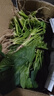 新鲜现挖菠菜河南霜打露天红根菠菜青菜涮火锅真便宜 5斤含箱 新鲜菠菜 实拍图