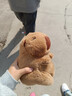 卡皮巴拉毛绒玩具公仔儿童生日礼物女孩情人节礼物水豚毛绒玩偶 卡皮巴拉公仔 1个装（新人专享） 实拍图