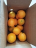 京觅 江西赣南脐橙4.5斤净重橙子单果150g起甜橙新鲜现摘水果源头直发 实拍图