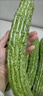 【京东物流】农家新鲜苦瓜蔬菜清热降火农家自种现摘现发生鲜 新鲜苦瓜 4斤 带箱 实拍图