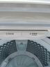 小天鹅（LittleSwan）波轮洗衣机全自动 12公斤大容量 小乌梅轻奢版【TB12VE20DW】水魔方防缠绕 家电国家补贴20% 实拍图