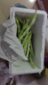 京鲜生山东新鲜白芸豆净重1.8斤装白不老新鲜蔬菜源头直发包邮 实拍图