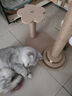 HELLOJOY猫抓板猫爬架一体耐磨不掉屑剑麻抓柱耐抓逗猫棒猫咪玩具自嗨解闷 实拍图