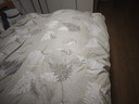 LOVO罗莱家纺100%新疆纯棉三/四件套全棉超柔床上用品单双人床单被套 【热销】超柔新疆全棉-庭院花间 四件套1.8m 床笠款 被套220*240cm 实拍图