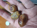 新疆黄金椰枣天然甜枣脆枣软糯奶香应季水果自然晾晒整箱包邮 黄金椰枣 500g 单果5-6g 实拍图