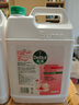 滴露（Dettol）洗手液补充装大桶消毒滋润5L 儿童家庭装杀菌护手 实拍图