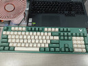 雷柏（Rapoo） V500PRO米绿升级款 104键有线背光机械键盘 PBT双色键帽电脑办公游戏全键无冲可编程键盘 茶轴 实拍图