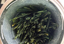 福茗源茶叶 太平猴魁茶绿茶 特级雨前2025新茶罐装40g捏尖春茶叶自己喝 实拍图