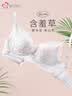 都市丽人内衣女乳罩性感蕾丝文胸软钢圈薄款透气小胸聚拢胸罩2B25AB 实拍图